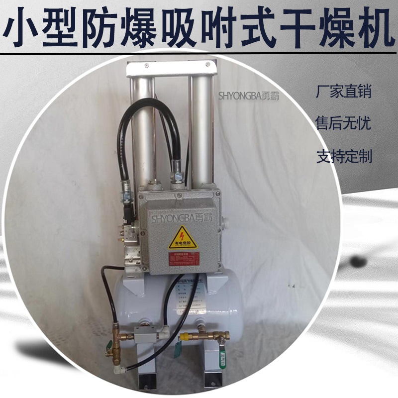 勇霸小型防爆吸附式干燥機(jī)