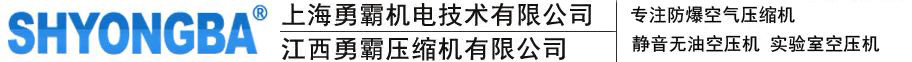 上海勇霸機(jī)電技術(shù)有限公司